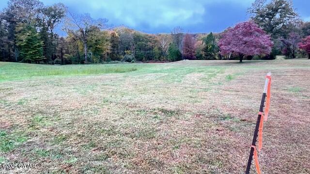 0 Medon Malesus Road Medon, TN 38356 - Photo 27 of 29 IMG_2834