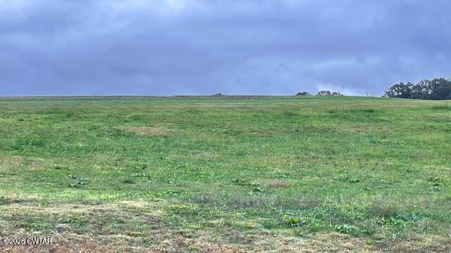 0 Medon Malesus Road Medon, TN 38356 - Photo 5 of 29 IMG_2794