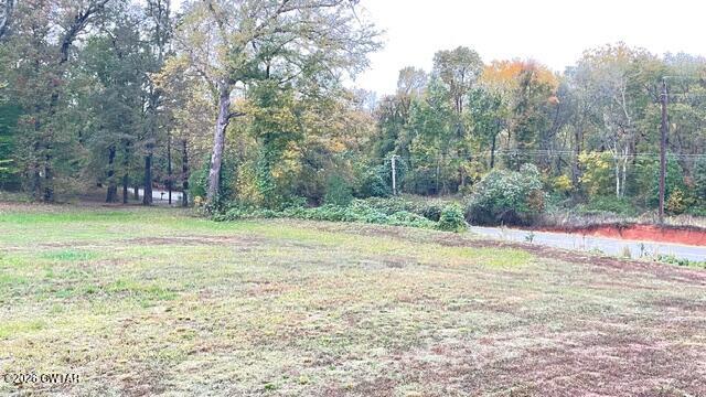 0 Medon Malesus Road Medon, TN 38356 - Photo 6 of 29 IMG_2795