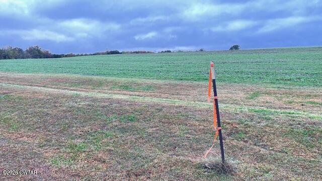 0 Medon Malesus Road Medon, TN 38356 - Photo 8 of 29 IMG_2797