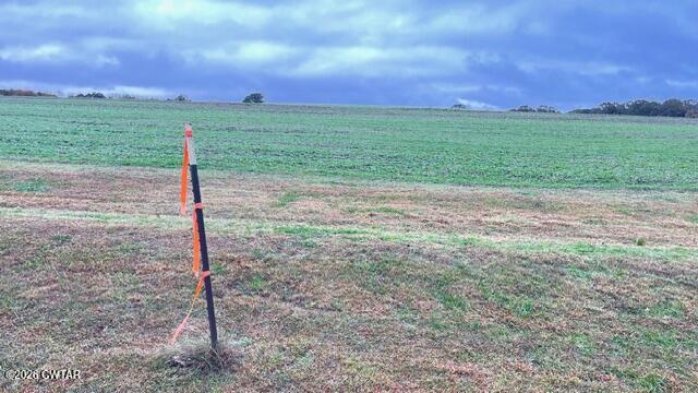 0 Medon Malesus Road Medon, TN 38356 - Photo 9 of 29 IMG_2798