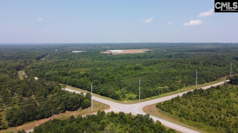 4129 Peach Road Ridgeway, SC 29130 - Photo 14 of 33