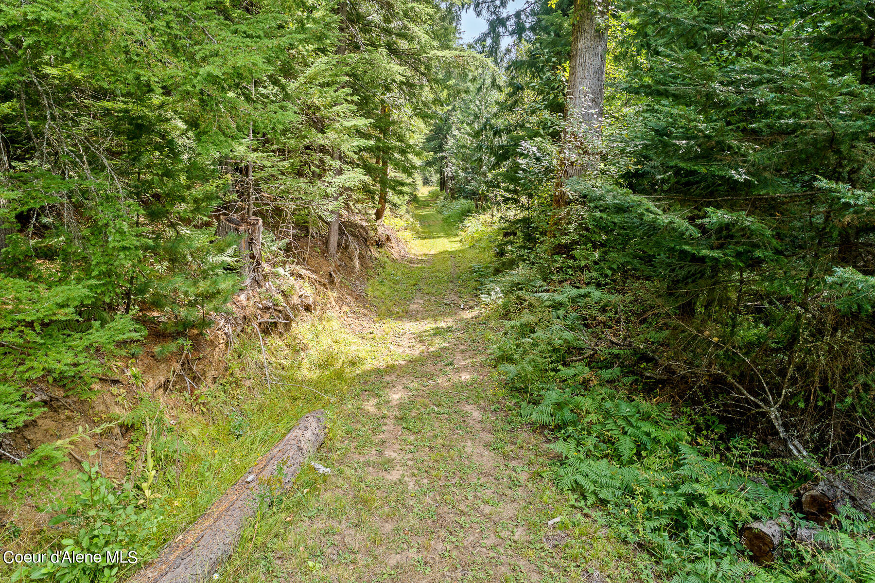 9076 Coeur D'Alene River Road Kingston, ID 83839 - Photo 26 of 32 Aerial_9076CoeurdAleneRiverRd-12