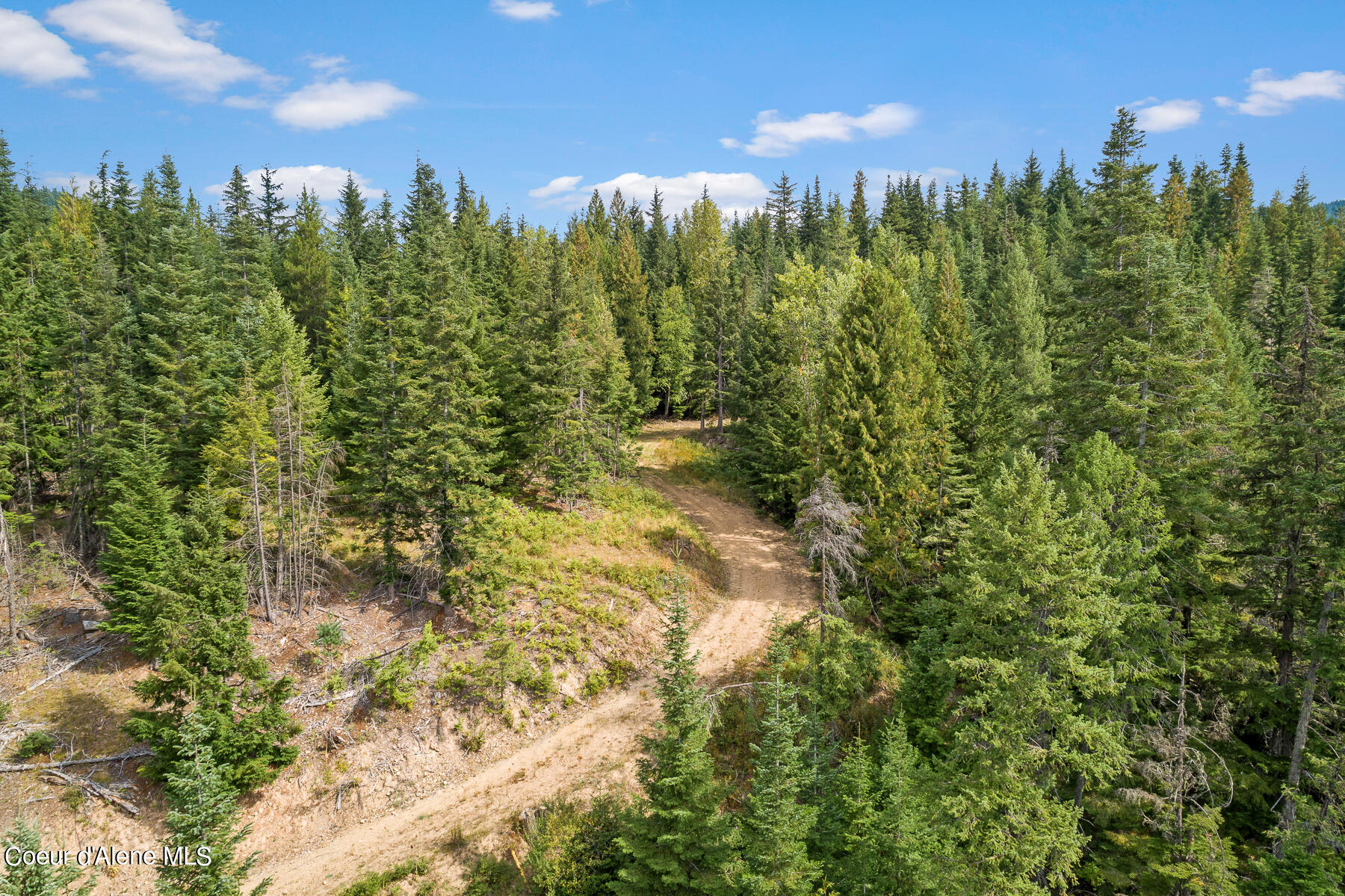 9076 Coeur D'Alene River Road Kingston, ID 83839 - Photo 27 of 32 Aerial_9076CoeurdAleneRiverRd-13