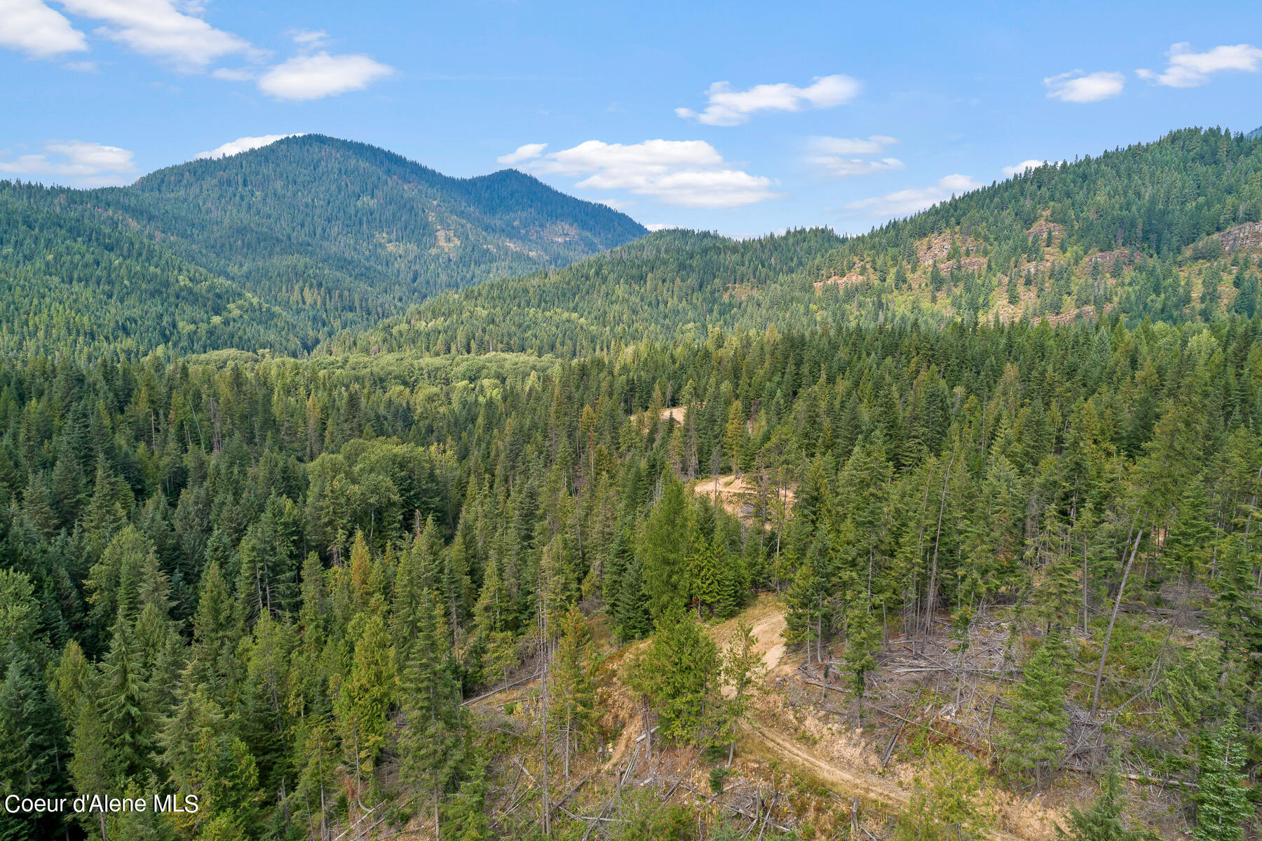 9076 Coeur D'Alene River Road Kingston, ID 83839 - Photo 28 of 32 Aerial_9076CoeurdAleneRiverRd-14