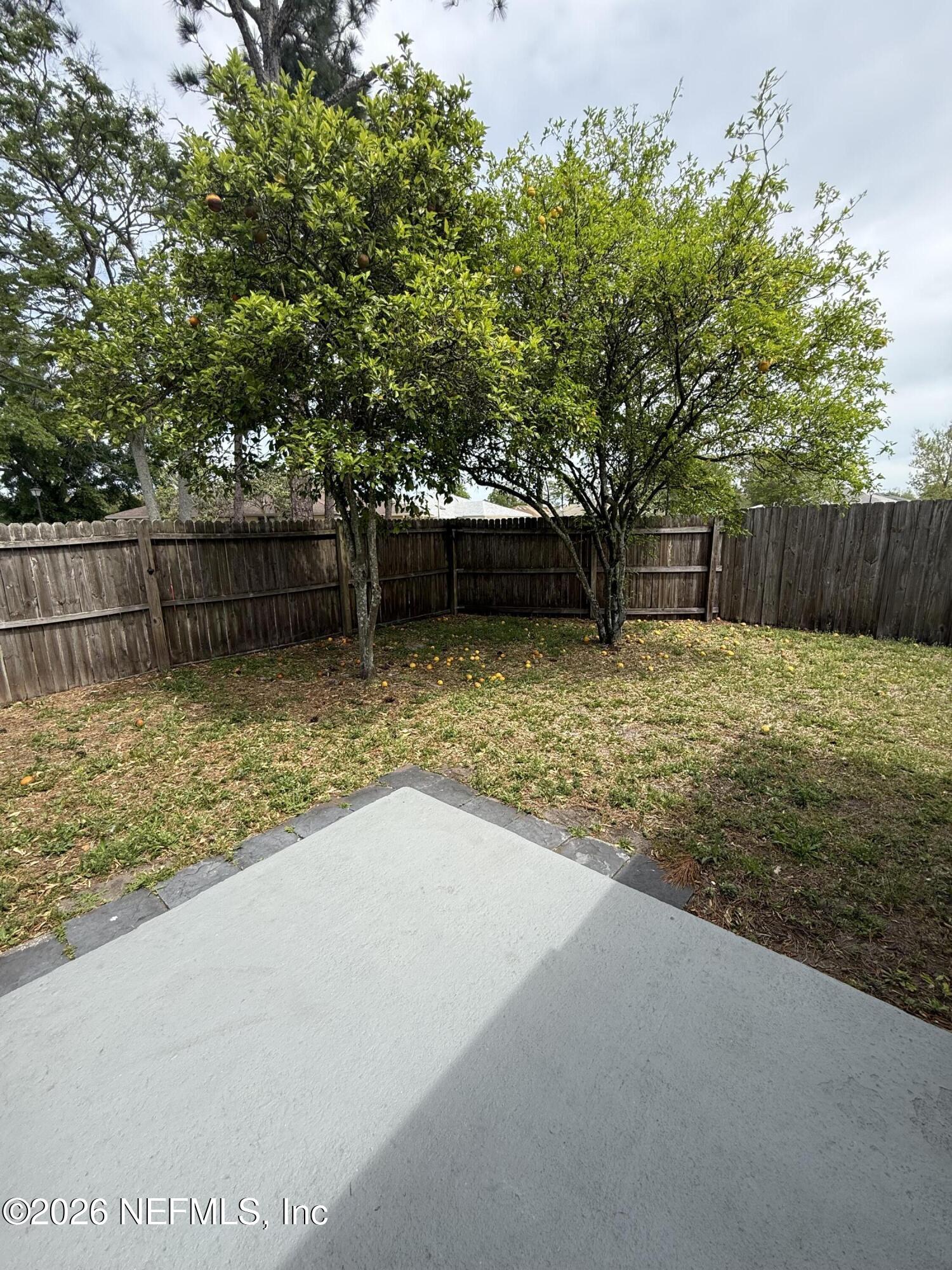 2360 Bitternut Way Jacksonville, FL 32246 - Photo 26 of 26 a view of a garden with large trees
