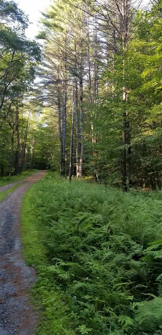 0 Meadow Lane Springfield, VT 05156 - Photo 3 of 7
