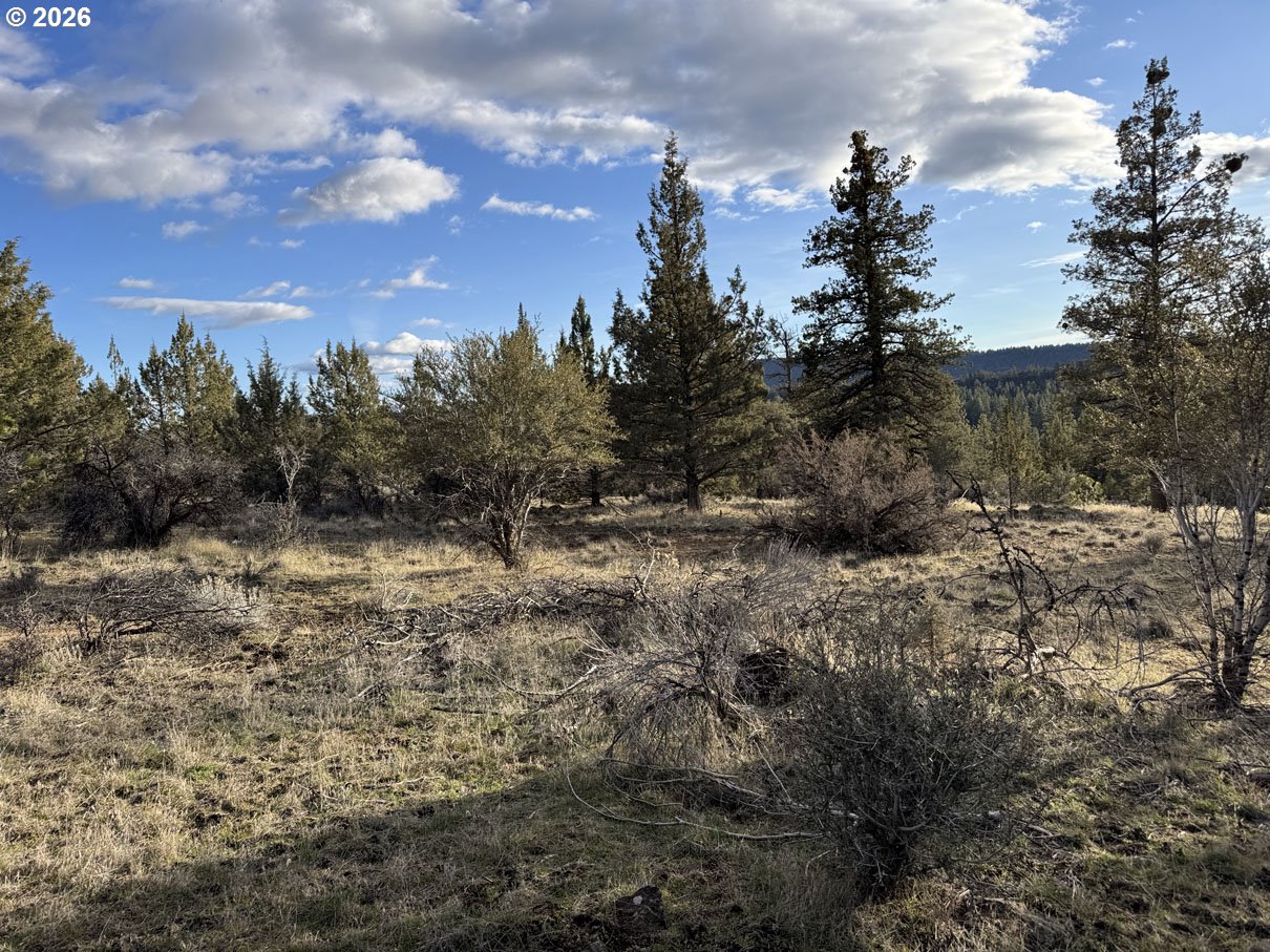 Canvasback Drive, Unit 36 Bonanza, OR 97623 - Photo 26 of 47