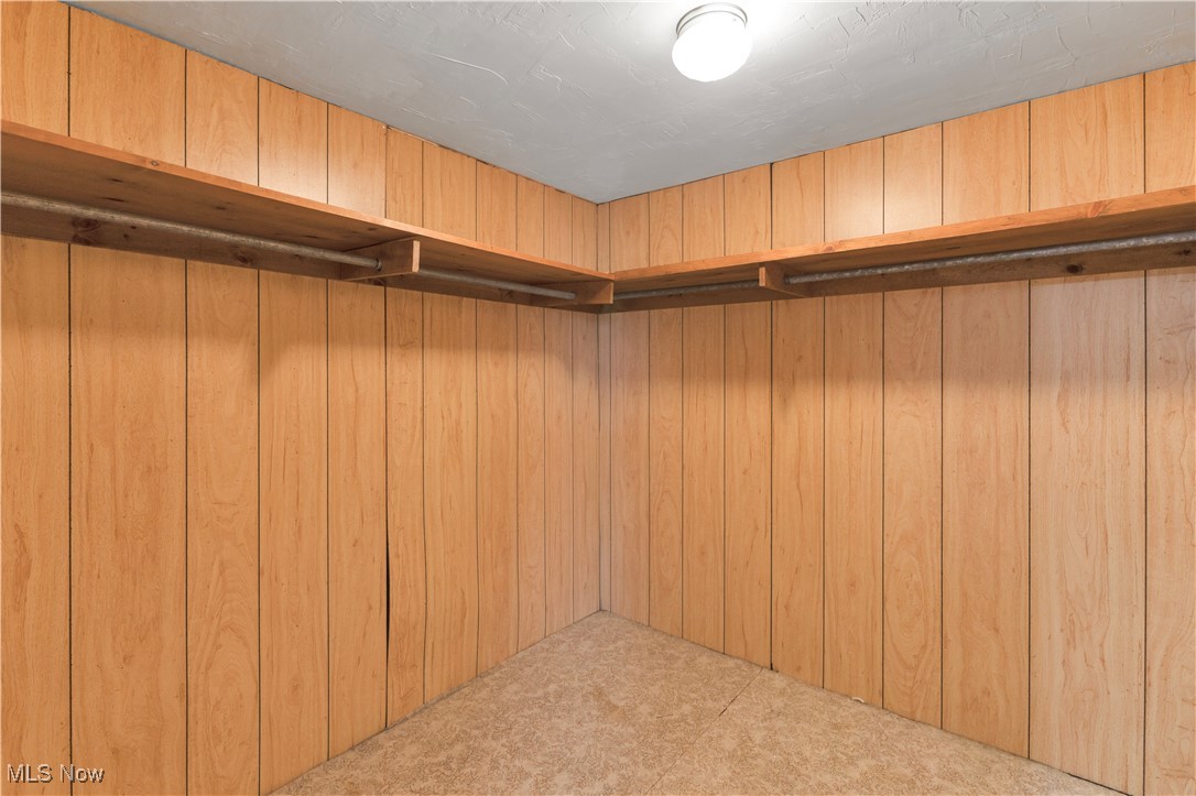 48265 Middle Ridge Road Amherst, OH 44001 - Photo 25 of 43 Primary walk in closet with paneled walls and carpet.