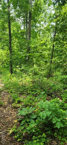 $220,000 | 12069 Highway K Jadwin Mo 65501, Jadwin, MO 65501