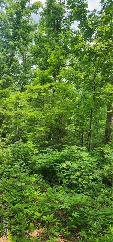 $220,000 | 12069 Highway K Jadwin Mo 65501, Jadwin, MO 65501