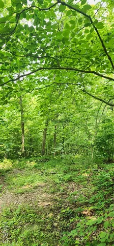 $220,000 | 12069 Highway K Jadwin Mo 65501, Jadwin, MO 65501