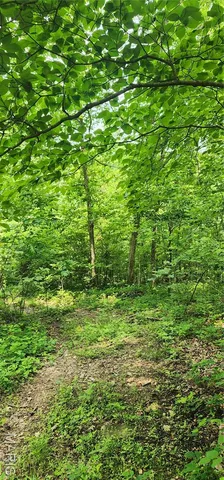 $220,000 | 12069 Highway K Jadwin Mo 65501, Jadwin, MO 65501