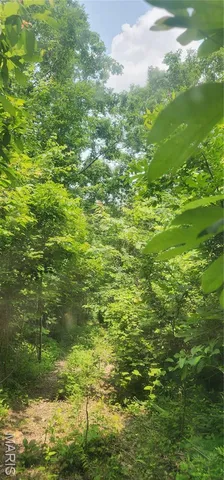 $220,000 | 12069 Highway K Jadwin Mo 65501, Jadwin, MO 65501