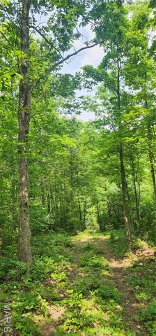 $220,000 | 12069 Highway K Jadwin Mo 65501, Jadwin, MO 65501