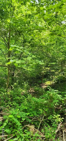 $220,000 | 12069 Highway K Jadwin Mo 65501, Jadwin, MO 65501