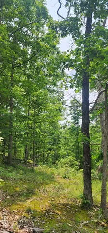 $220,000 | 12069 Highway K Jadwin Mo 65501, Jadwin, MO 65501