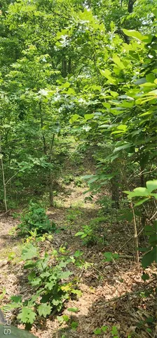 $220,000 | 12069 Highway K Jadwin Mo 65501, Jadwin, MO 65501