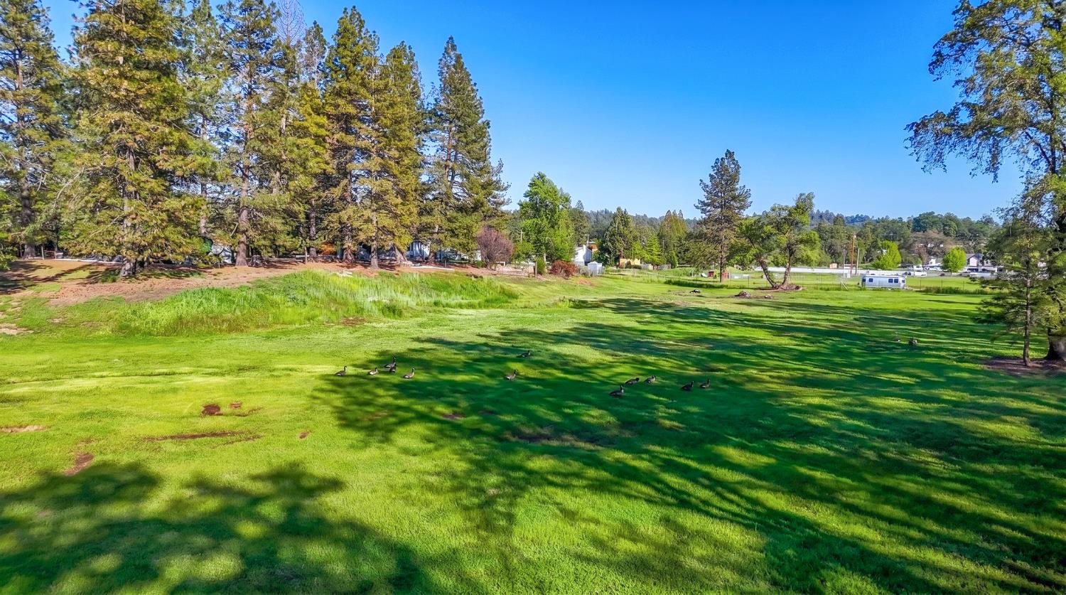 4360 Pleasant Valley Road Placerville, CA 95667 - Photo 7 of 71
