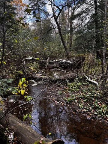 $899,000 | 1774 Highway 2 Two Harbors, Two Harbors, MN 55616