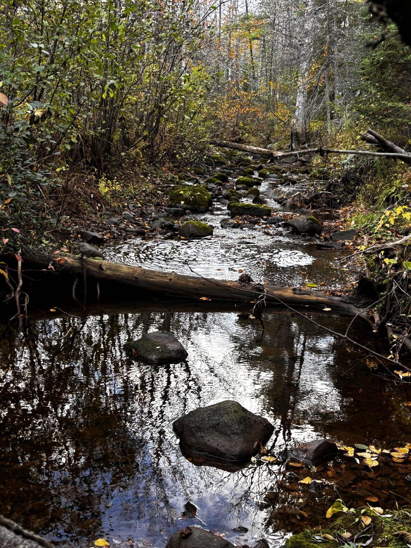 1774 Highway 2 Two Harbors Two Harbors, MN 55616 - Photo 62 of 62