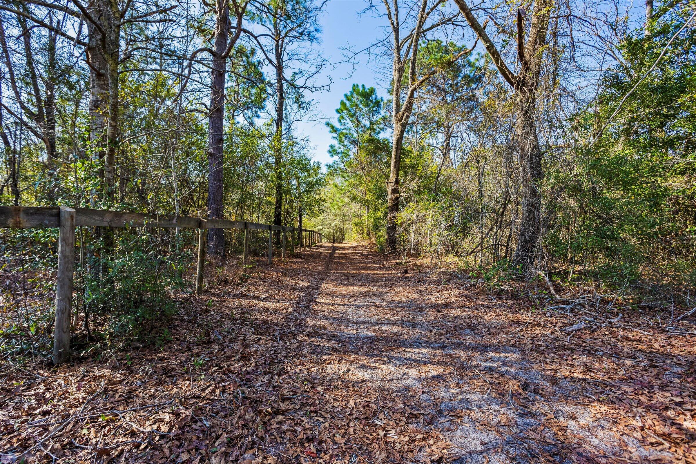 158 North Windsor Road Windsor, SC 29856 - Photo 54 of 85