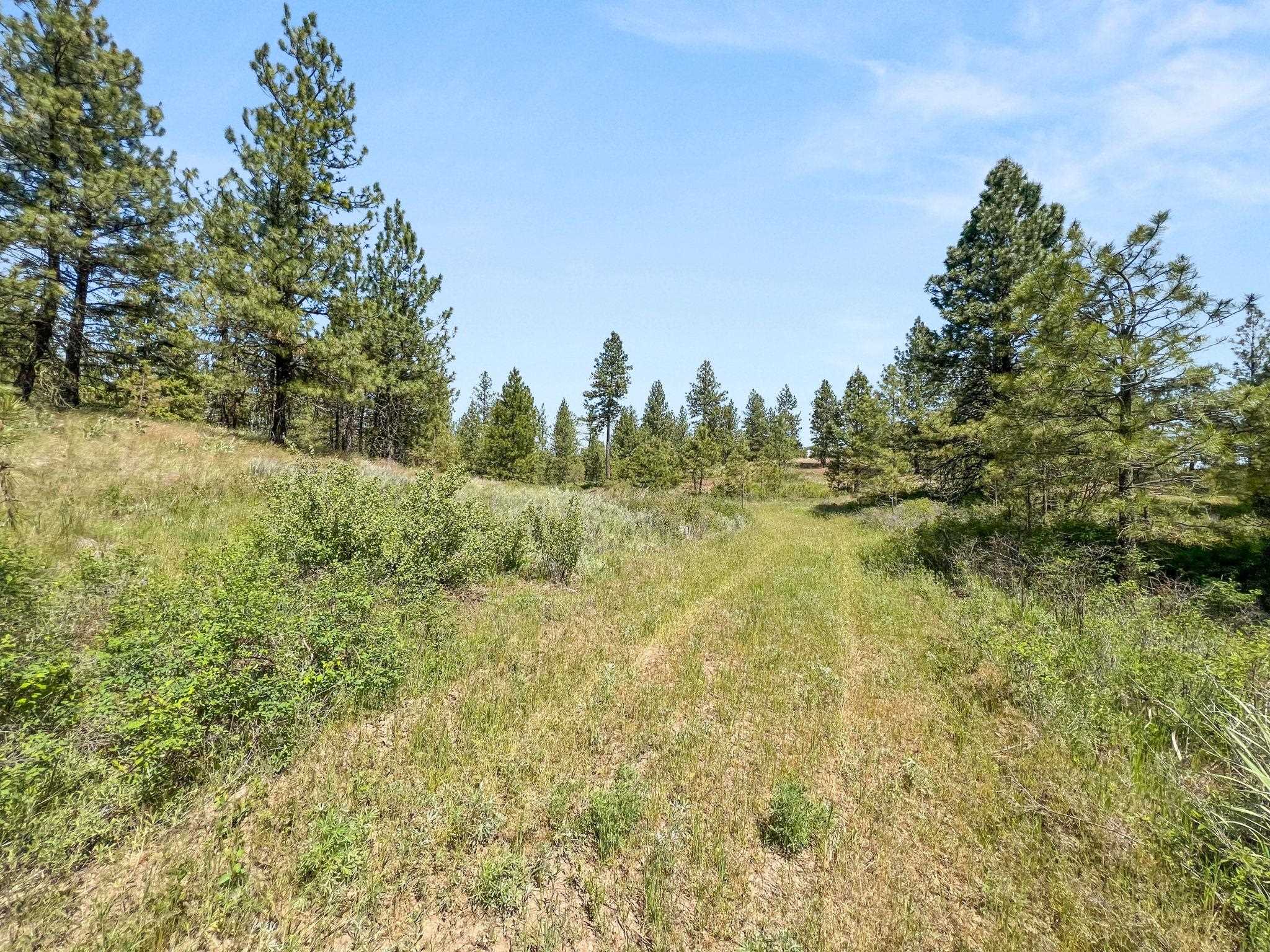 0 West Highland Road Ford, WA 99013 - Photo 35 of 41