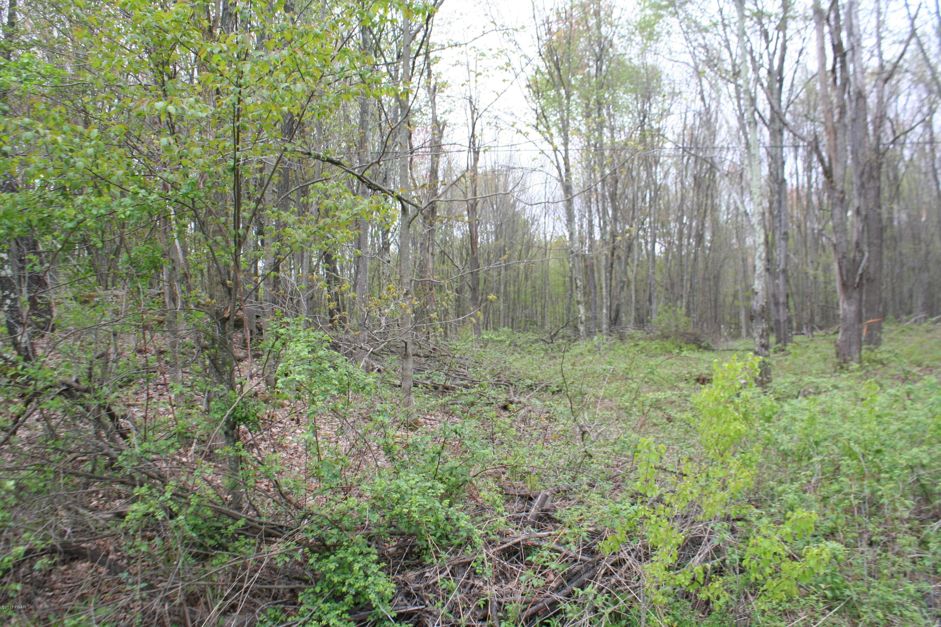 255 North Smith Road Waymart, PA 18472 - Photo 6 of 8