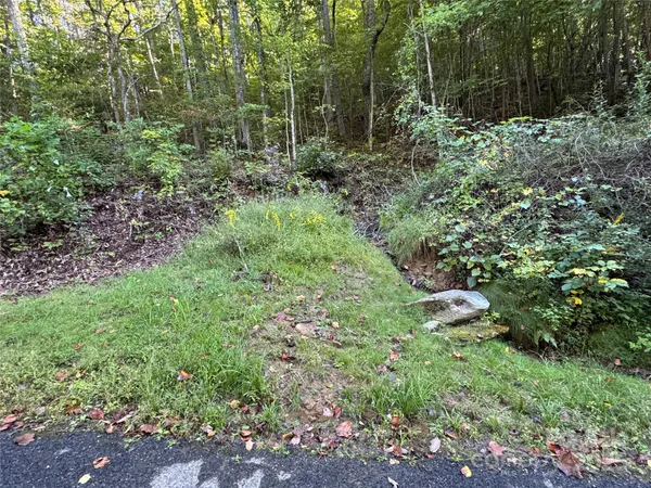 $90,000 | 999 Red Oak Forest Road, Fairview, NC 28730