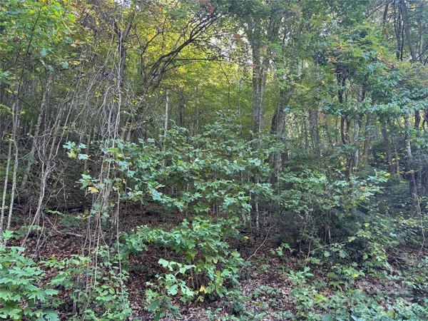 $90,000 | 999 Red Oak Forest Road, Fairview, NC 28730