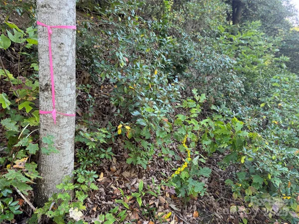 $90,000 | 999 Red Oak Forest Road, Fairview, NC 28730