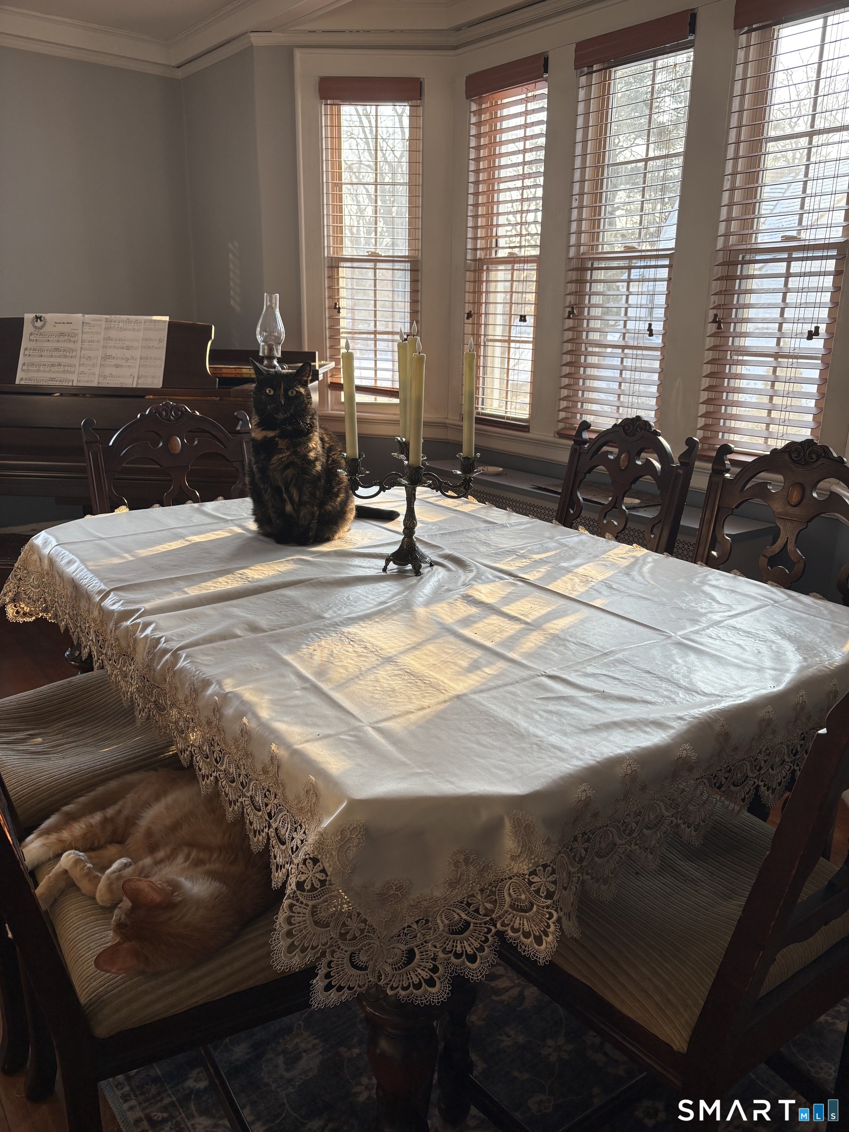 14 Arden Road Waterbury, CT 06708 - Photo 11 of 24