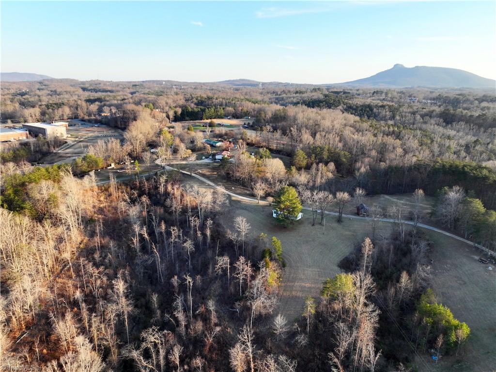 144 Freeman Ridge Trail Pilot Mountain, NC 27041 - Photo 3 of 16 Gallery Image 3