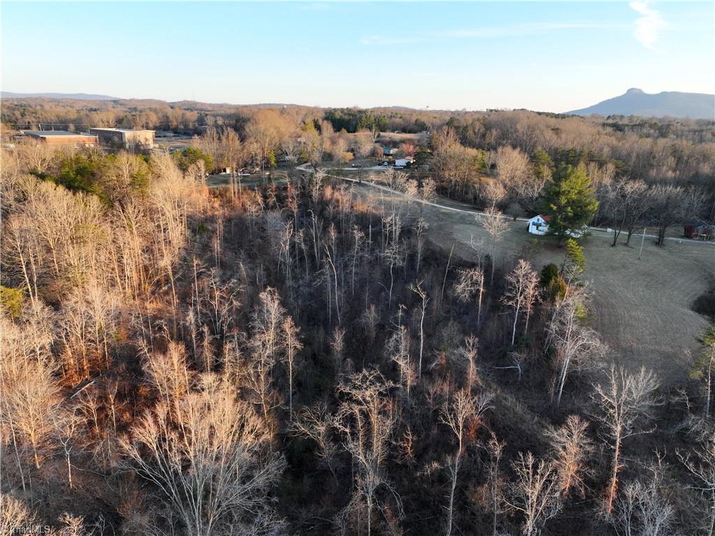 144 Freeman Ridge Trail Pilot Mountain, NC 27041 - Photo 4 of 16 Gallery Image 4