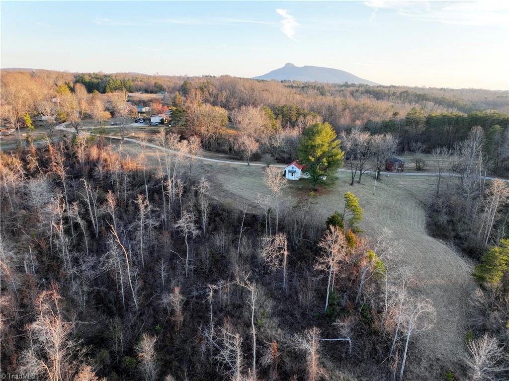 144 Freeman Ridge Trail Pilot Mountain, NC 27041 - Photo 7 of 16 Gallery Image 7