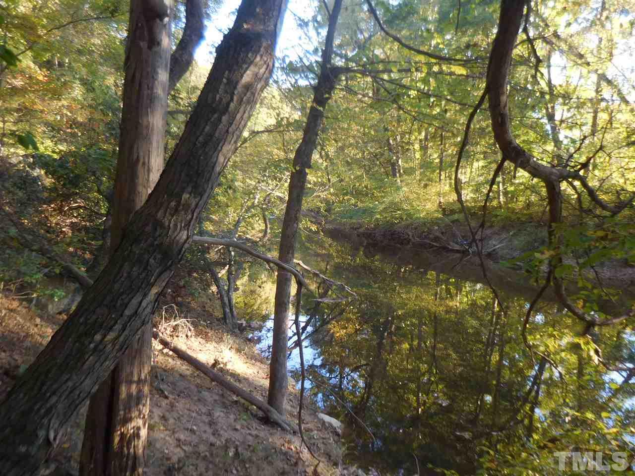 688 Rassie Crabtree Road Rougemont, NC 27572 - Photo 2 of 8 a yard with tall trees