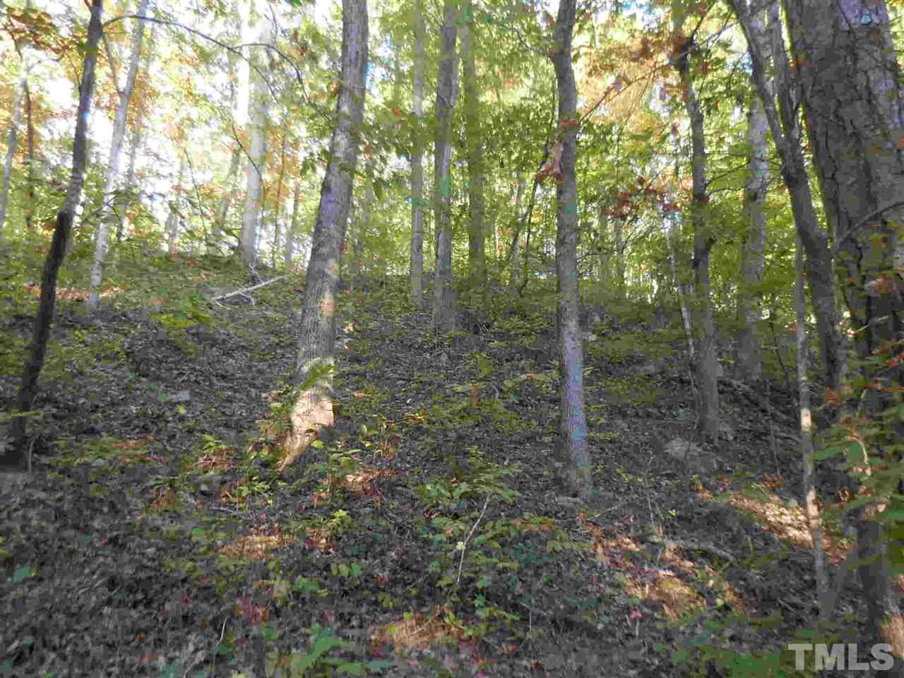 688 Rassie Crabtree Road Rougemont, NC 27572 - Photo 5 of 8 a view of a forest with trees