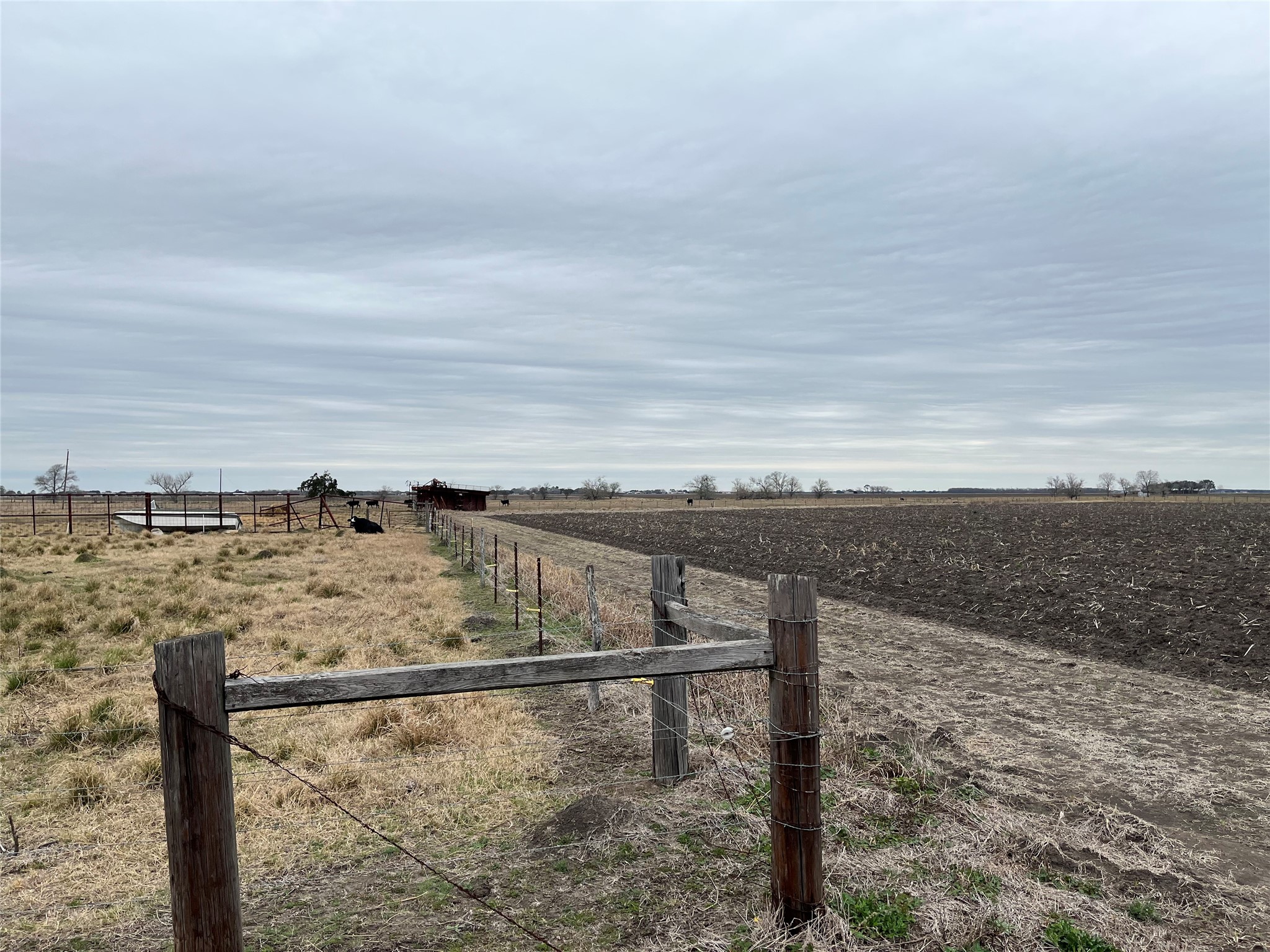 13315 Zamanek Road Needville, TX 77461 - Photo 14 of 28