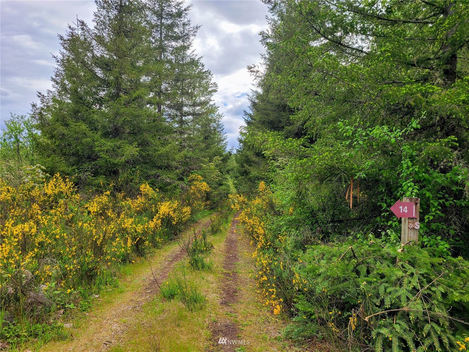 -xxx Tanwax Road South Roy, WA 98580 - Photo 11 of 33 Gallery Image 11