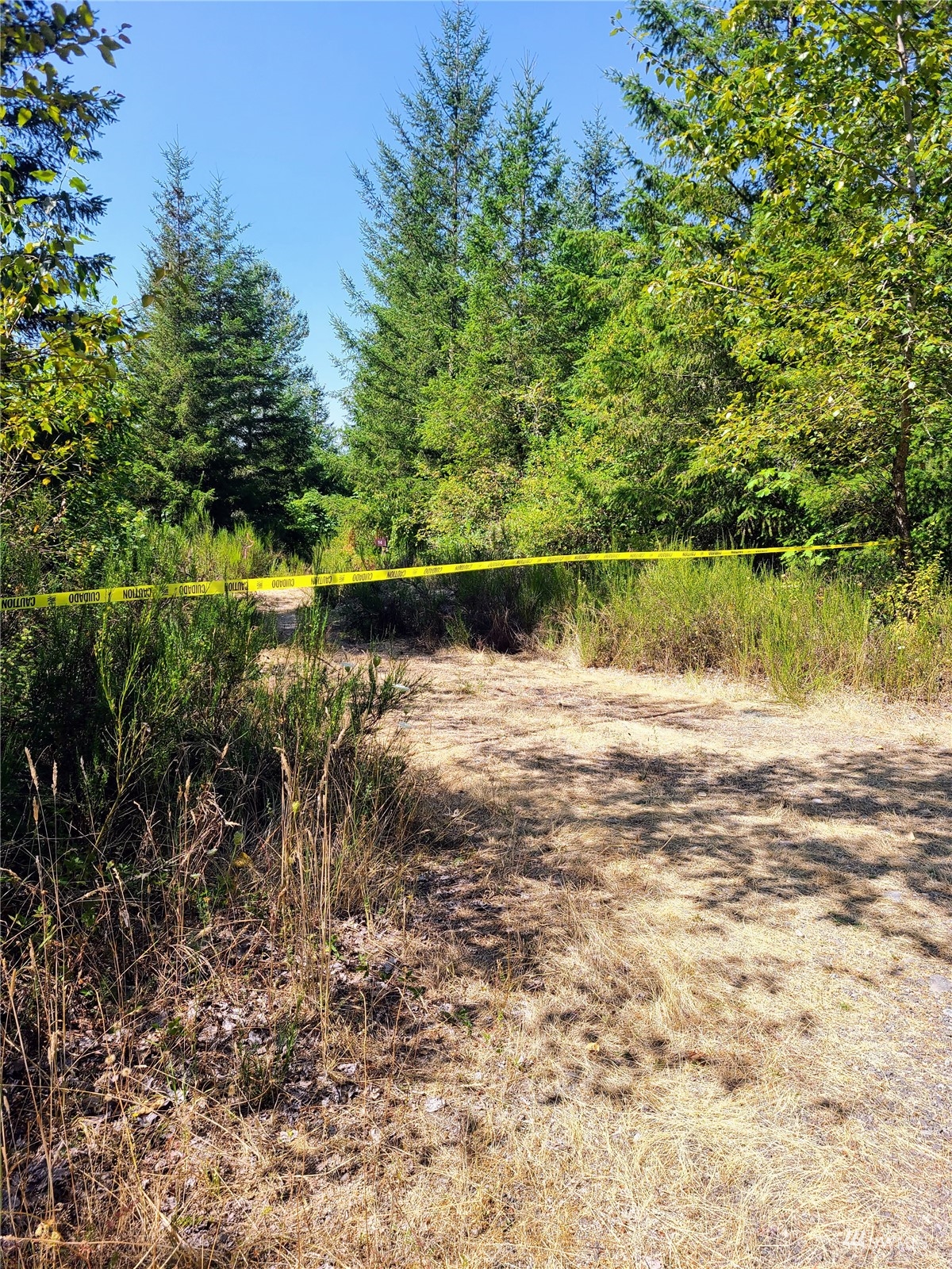 -xxx Tanwax Road South Roy, WA 98580 - Photo 12 of 33 Gallery Image 12