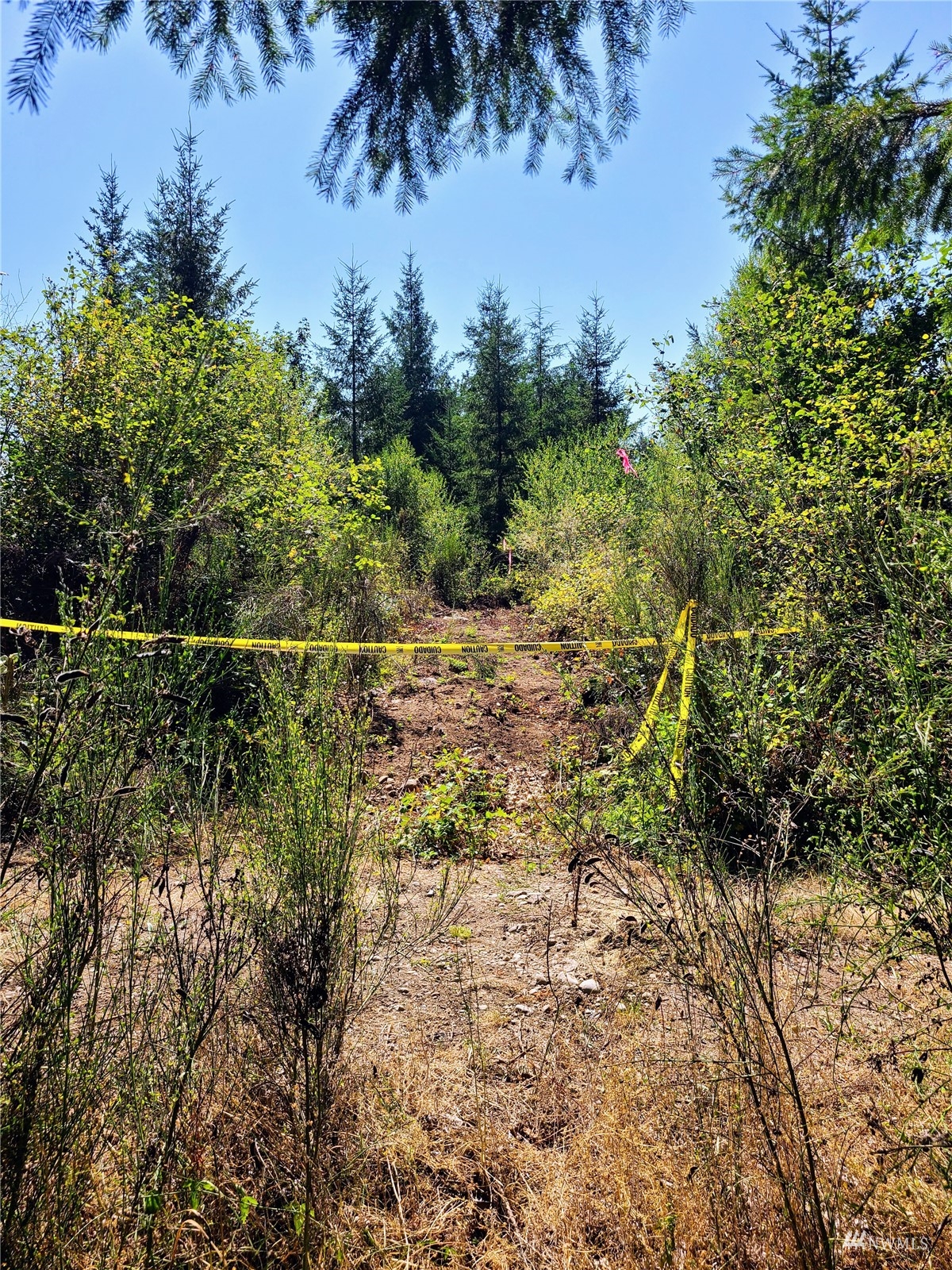 -xxx Tanwax Road South Roy, WA 98580 - Photo 14 of 33 Gallery Image 14