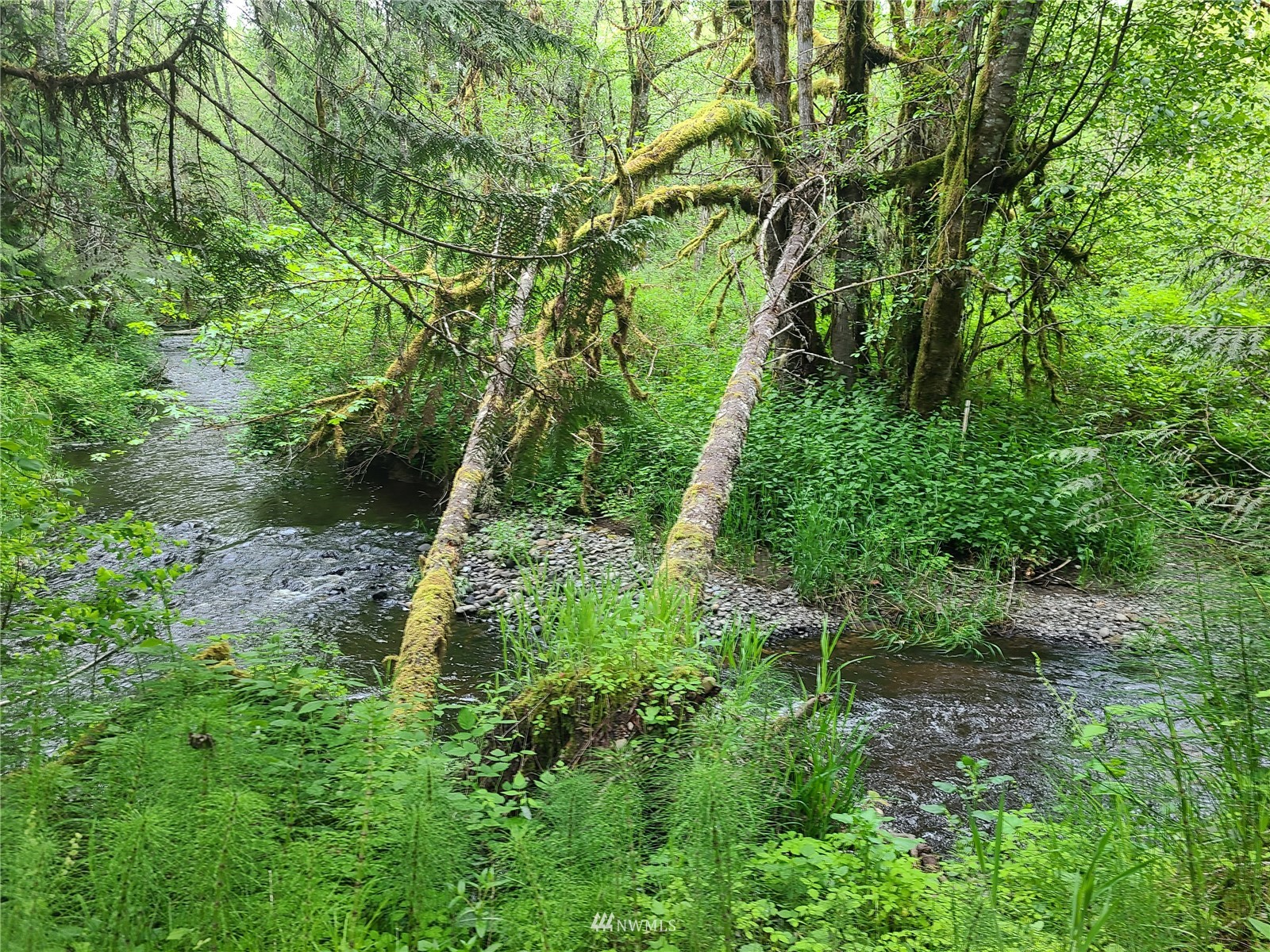 -xxx Tanwax Road South Roy, WA 98580 - Photo 19 of 33 Gallery Image 19