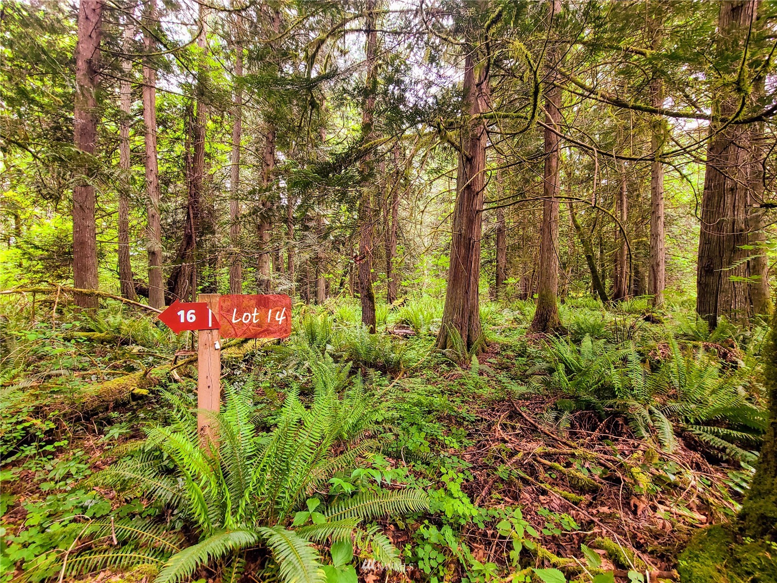 -xxx Tanwax Road South Roy, WA 98580 - Photo 2 of 33 Gallery Image 2