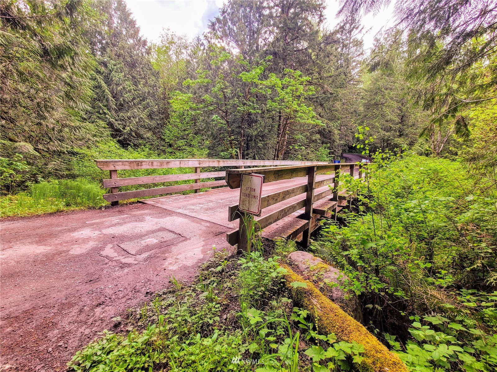 -xxx Tanwax Road South Roy, WA 98580 - Photo 21 of 33 Gallery Image 21