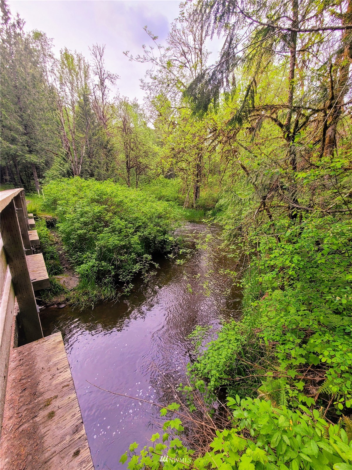 -xxx Tanwax Road South Roy, WA 98580 - Photo 22 of 33 Gallery Image 22