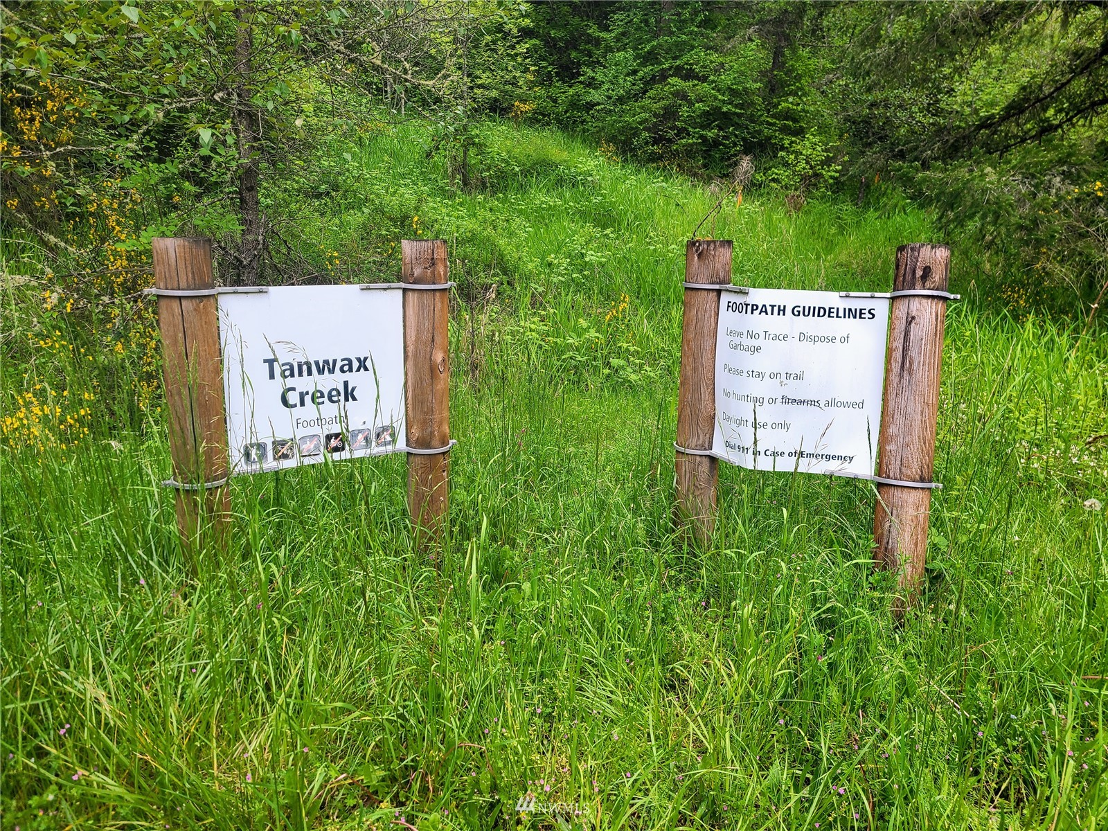 -xxx Tanwax Road South Roy, WA 98580 - Photo 23 of 33 Gallery Image 23