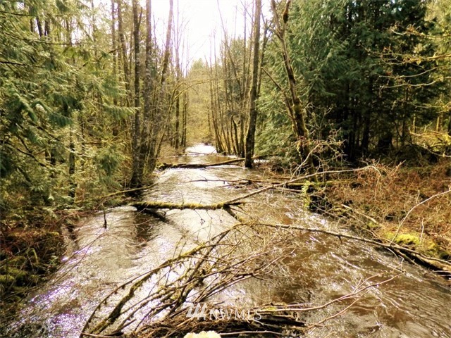 -xxx Tanwax Road South Roy, WA 98580 - Photo 26 of 33 Gallery Image 26