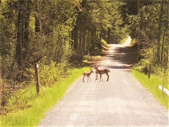 -xxx Tanwax Road South Roy, WA 98580 - Photo 27 of 33 Gallery Image 27