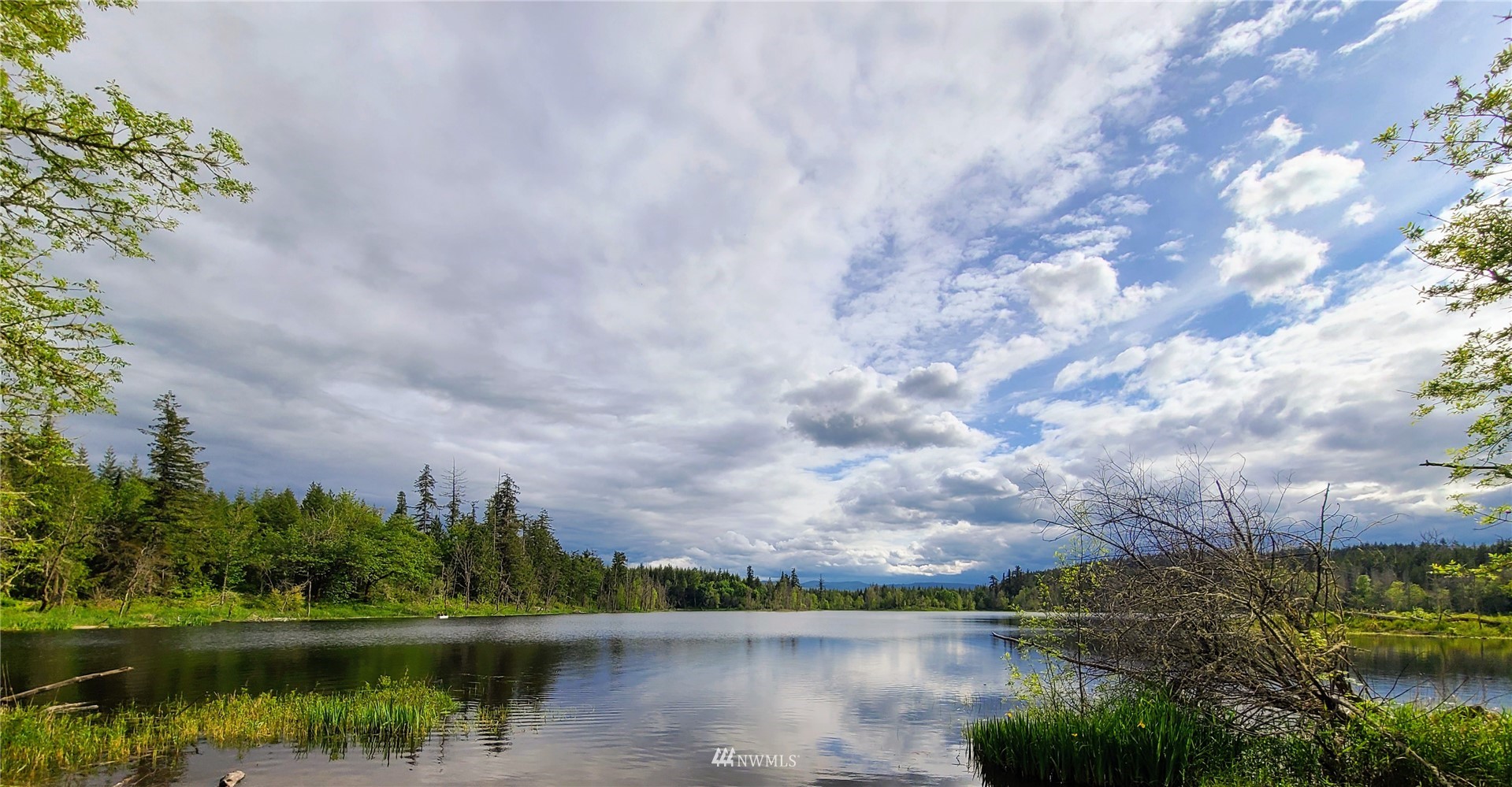 -xxx Tanwax Road South Roy, WA 98580 - Photo 30 of 33 Gallery Image 30
