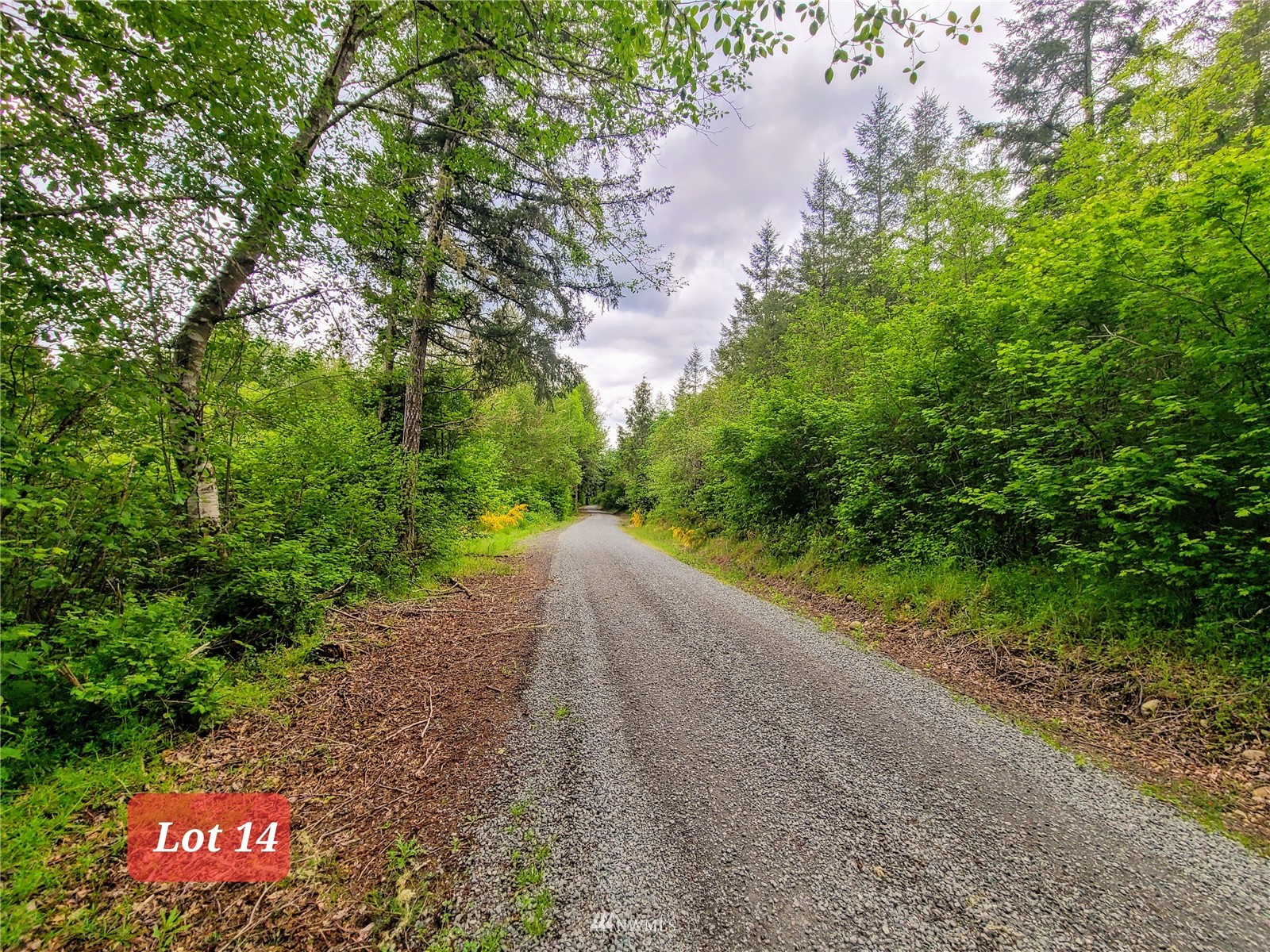 -xxx Tanwax Road South Roy, WA 98580 - Photo 3 of 33 Gallery Image 3